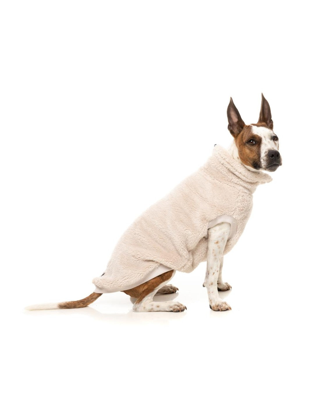 Sweat - Turtle Teddy 25 - Beige