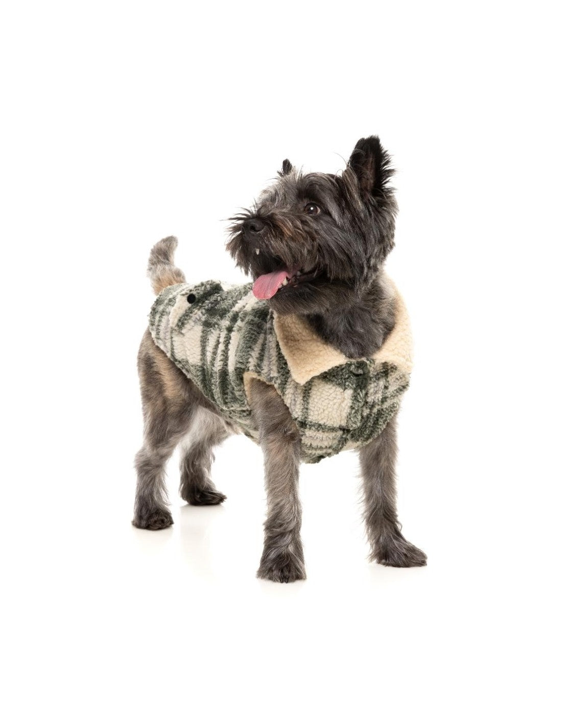 Veste pour chien The Lumberjack vert et crème – FuzzYard