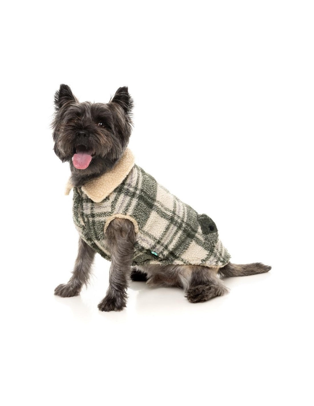 Veste pour chien The Lumberjack vert et crème – FuzzYard