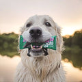 WOW Meat Bar Bœuf – Friandise protéinée pour chien 40 g