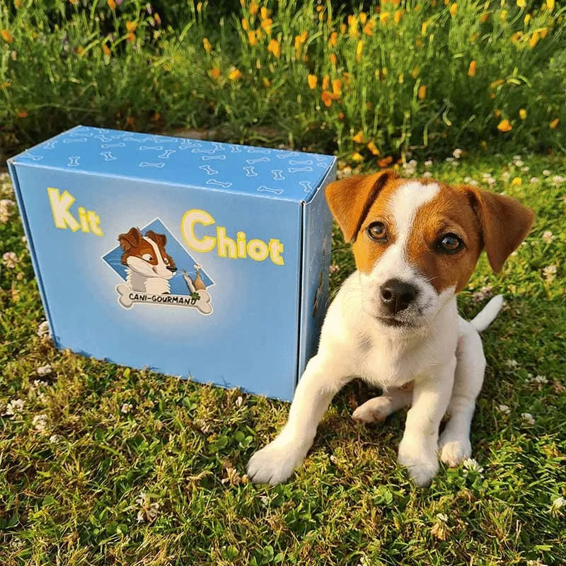 Canigourmand — Kit Chiot Petit Chien