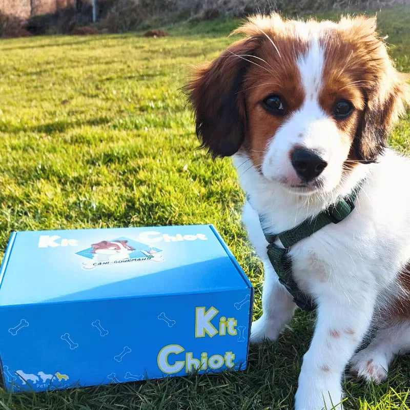 Canigourmand — Kit Chiot Petit Chien