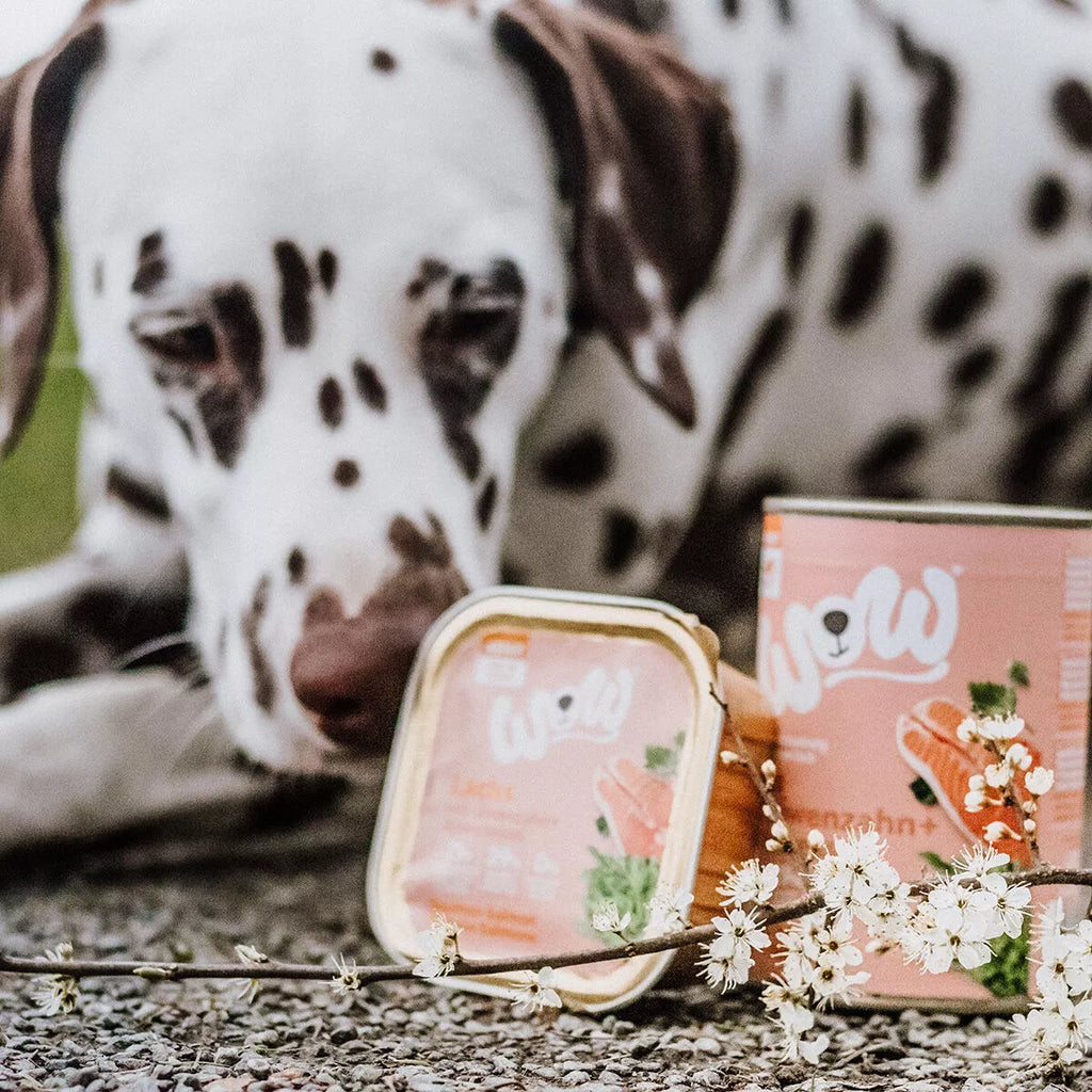 WOW Nourriture Humide pour Chien – 150g | Plusieurs Goûts
