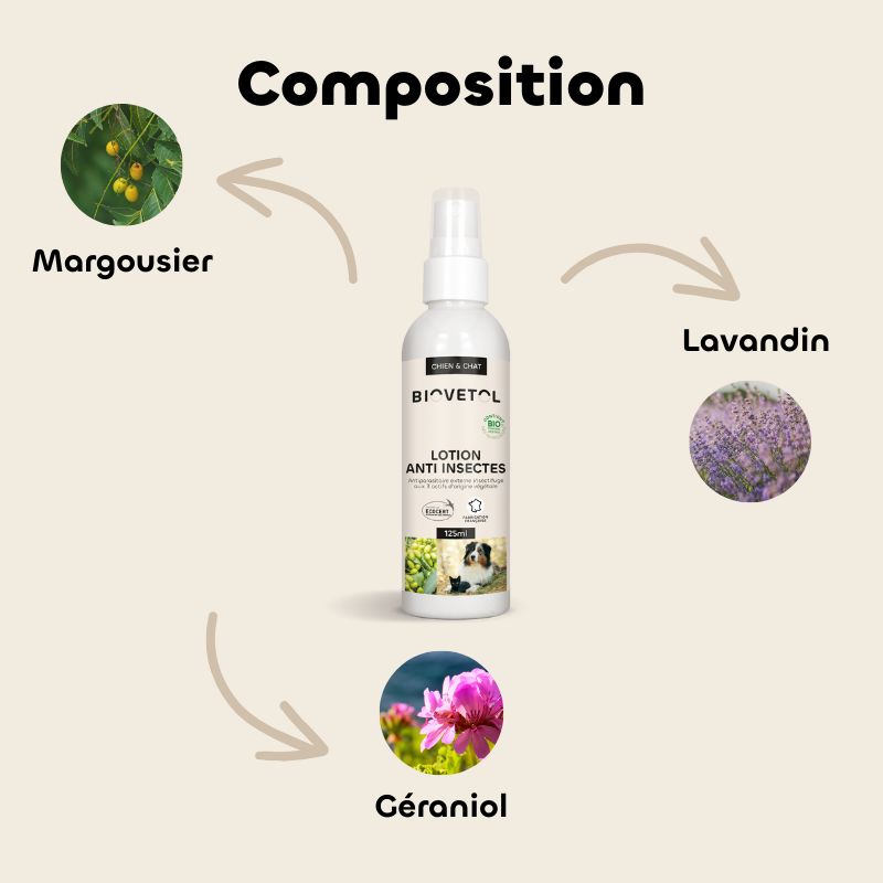 Lotion anti-insectes