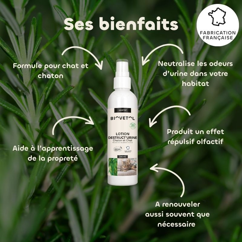 Lotion Destruct’urine Chaton et Chat