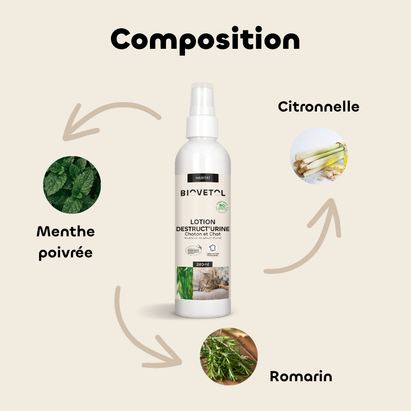 Lotion Destruct’urine Chaton et Chat