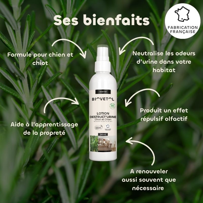 Lotion Destruct’urine Chiot et Chien