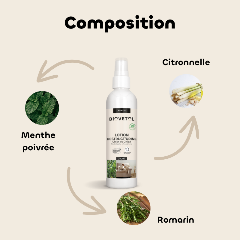 Lotion Destruct’urine Chiot et Chien