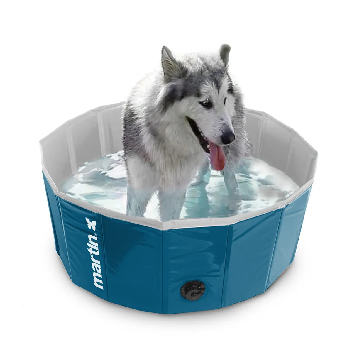 Piscine pour chien Martin Pool – Vert | PVC résistant | Pliable