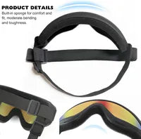 Lunettes de protection pour chien | Coupe-vent | Toutes races