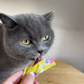 WOW Soft Sticks au Poulet pour Chat – 6 × 5 g (30 g)