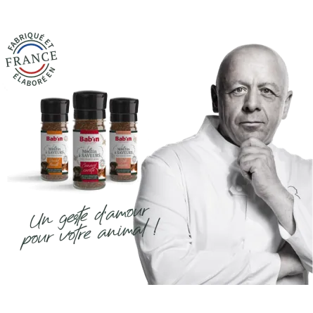 Moulin à saveurs Canard & Carotte – Chien & Chat – 45 g | Bab'in