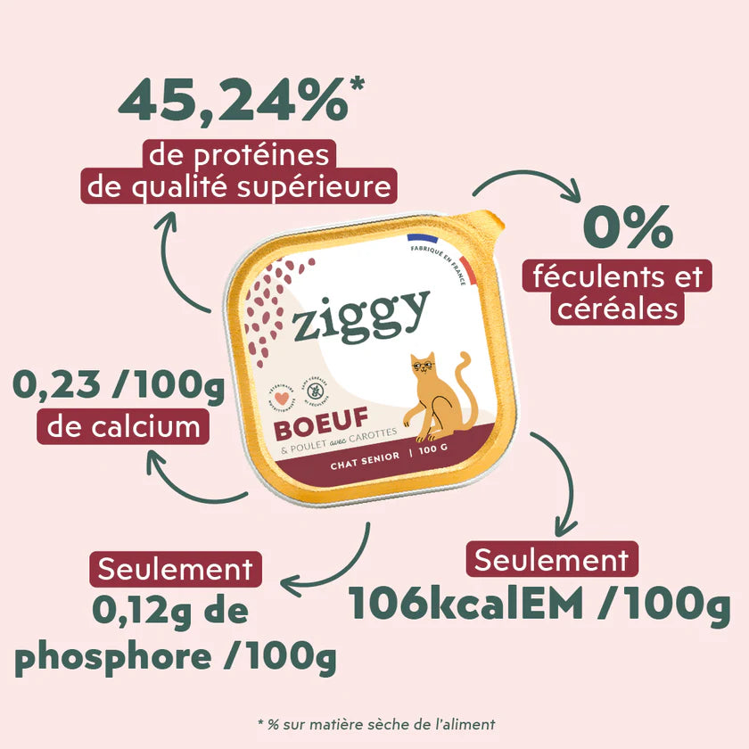 Pâtée Ziggy Senior – Poulet – 4 x 100 g