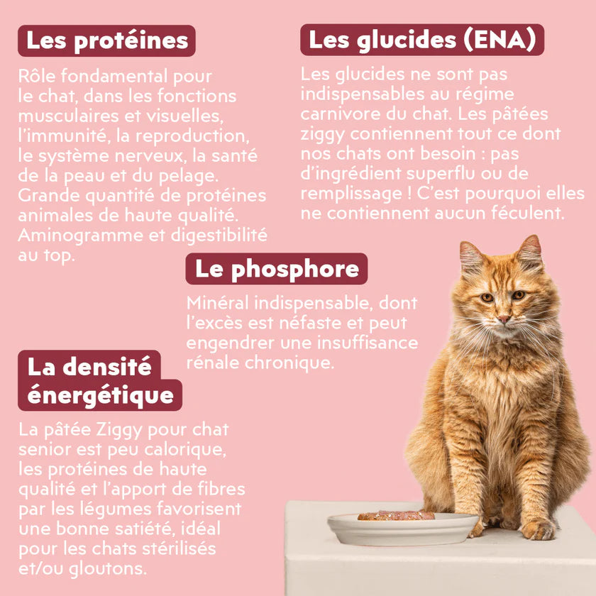 Pâtée Ziggy Senior – Poulet – 4 x 100 g