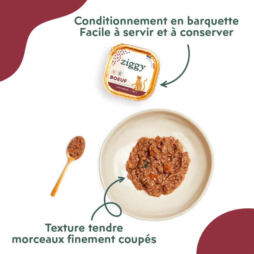 Pâtée Ziggy Senior – Poulet – 4 x 100 g