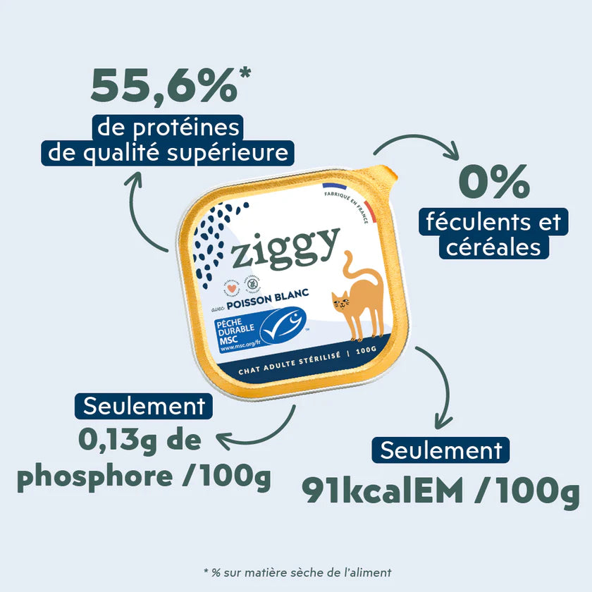 Pâtée Ziggy au poisson blanc – 4 x 100 g