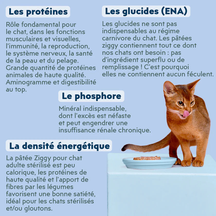Pâtée Ziggy au poisson blanc – 4 x 100 g