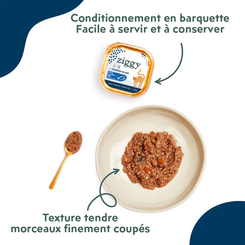 Pâtée Ziggy au poisson blanc – 4 x 100 g