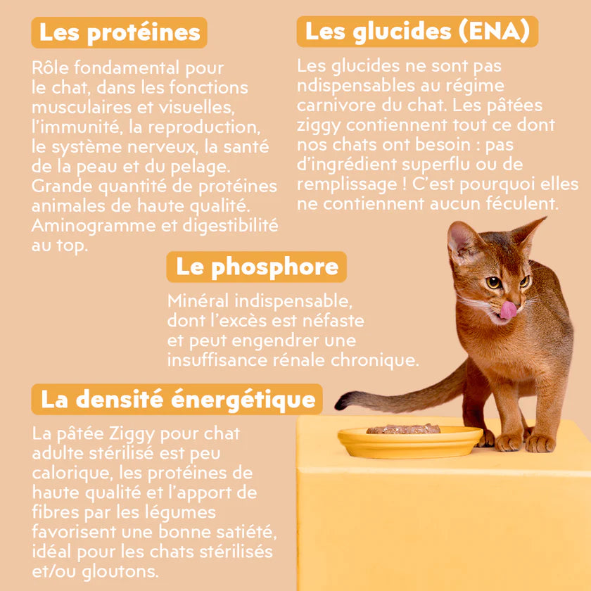 Pâtée Ziggy au poulet – Chat adulte stérilisé – 4 x 100 g
