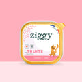 Pâtée Ziggy Chaton à la truite – 4 x 100 g