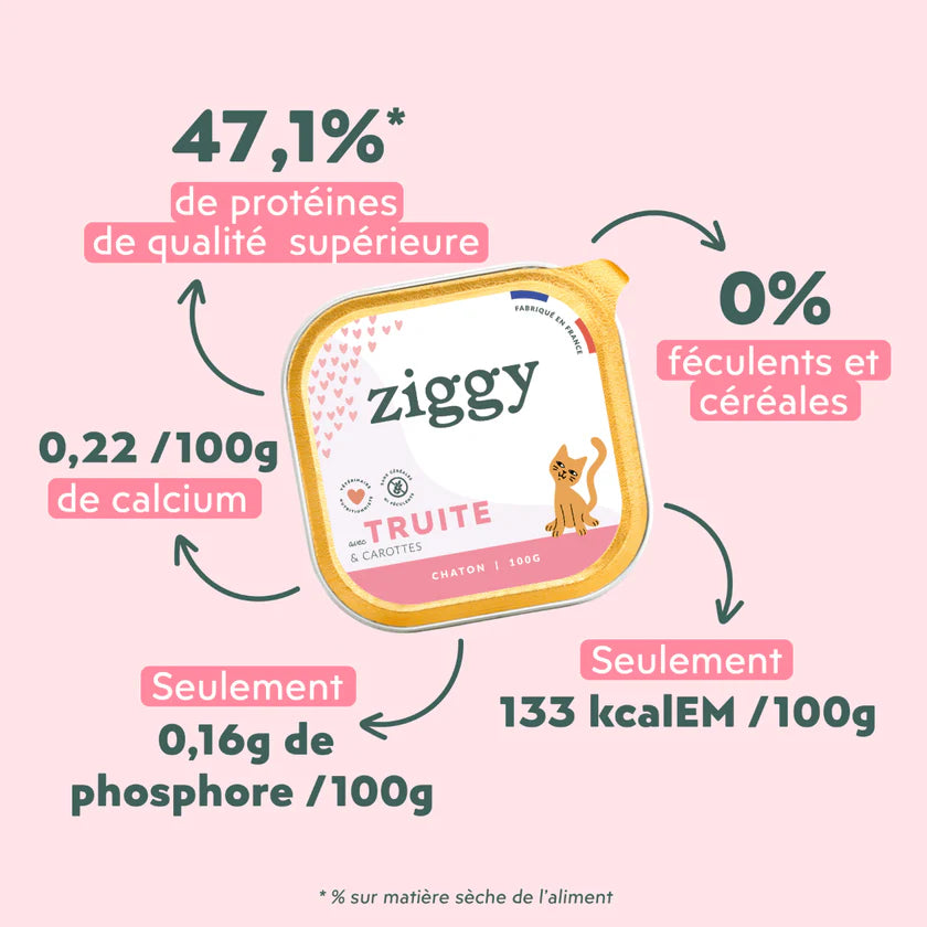 Pâtée Ziggy Chaton à la truite – 4 x 100 g