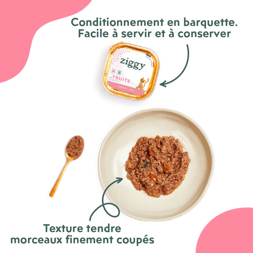 Pâtée Ziggy Chaton à la truite – 4 x 100 g
