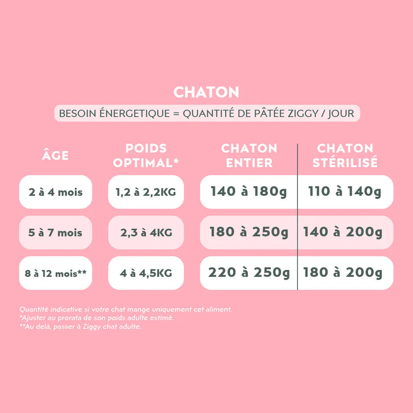 Pâtée Ziggy Chaton à la truite – 4 x 100 g