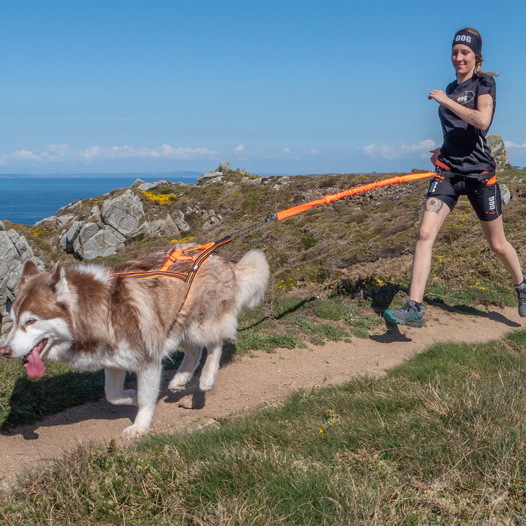 I-Dog — Harnais X-Back ONE Canicross & Sports Outdoor — Orange