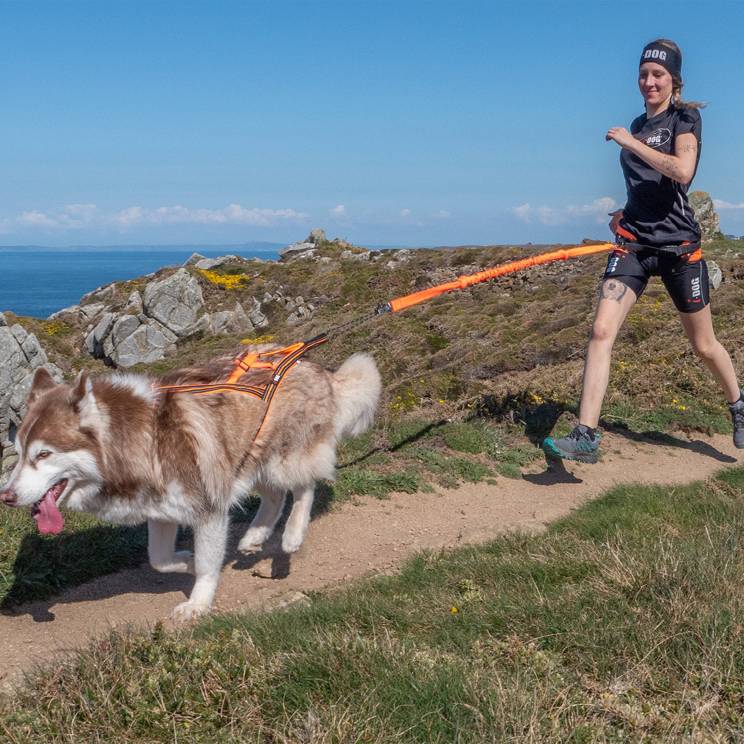 I-Dog — Harnais X-Back ONE Canicross & Sports Outdoor — Orange