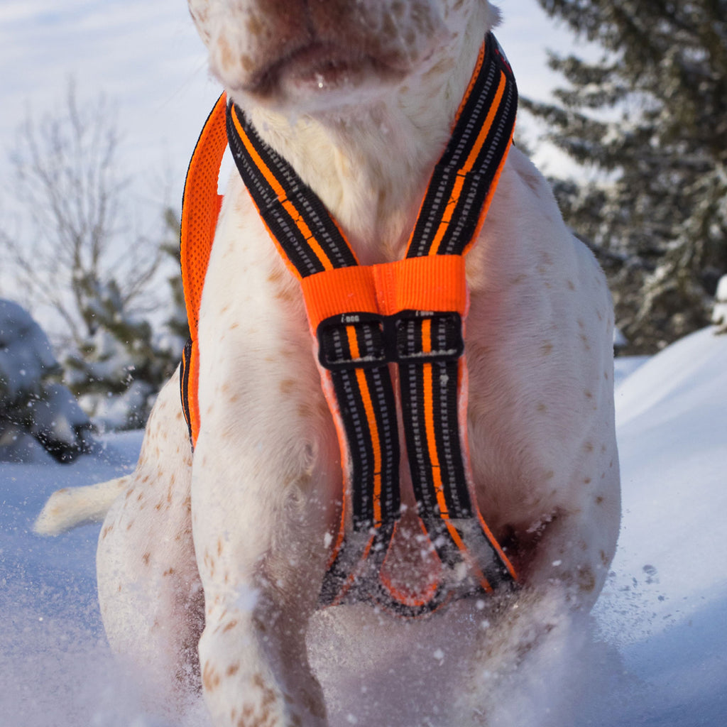 I-Dog — Harnais X-Back ONE Canicross & Sports Outdoor — Orange