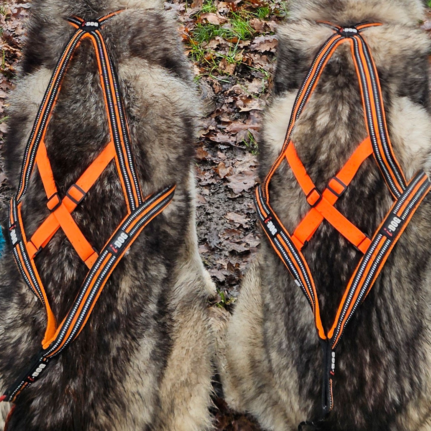 I-Dog — Harnais X-Back ONE Canicross & Sports Outdoor — Orange