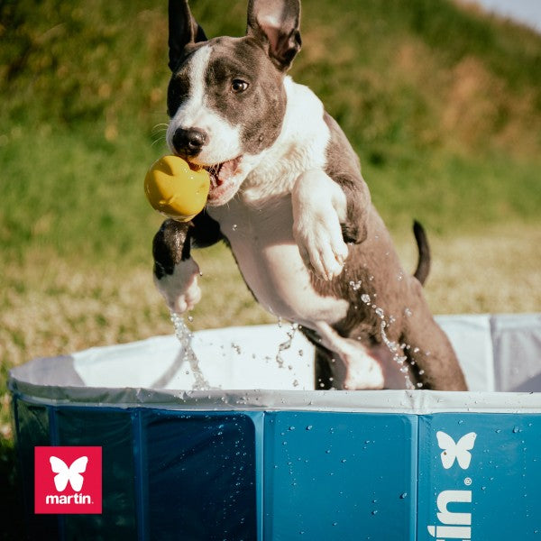 Piscine pour chien Martin Pool – Vert | PVC résistant | Pliable