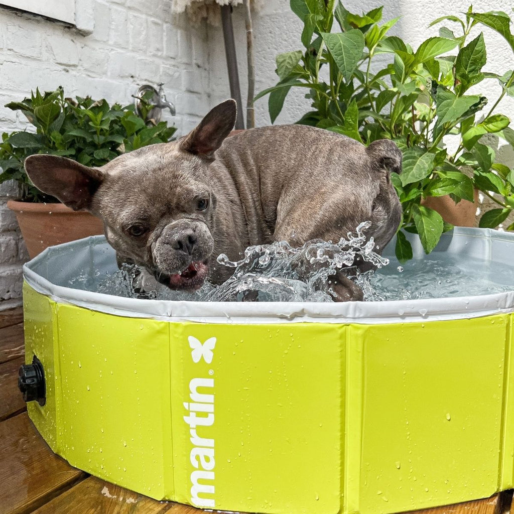 Piscine pour chien Martin Pool – Vert | PVC résistant | Pliable