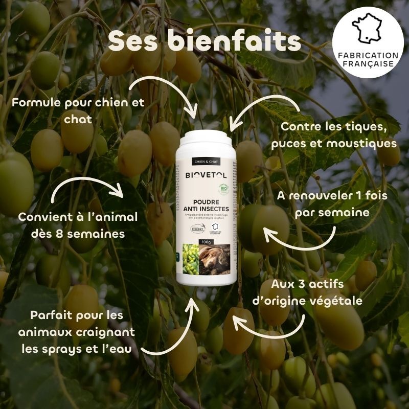 Poudre anti-insectes