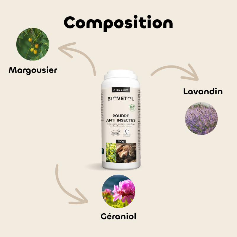 Poudre anti-insectes