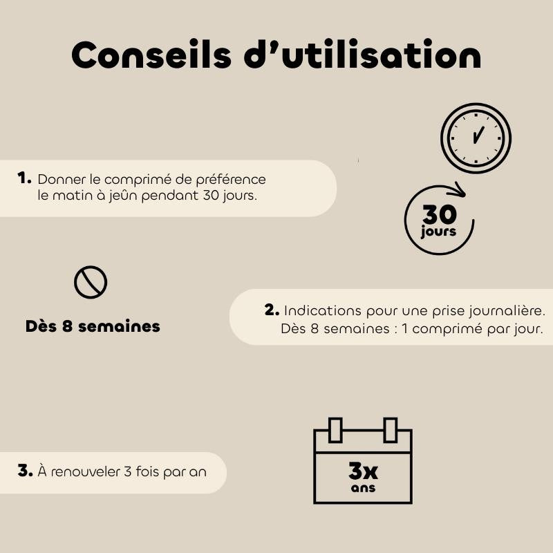 Comprimés REGUL’TRANSIT Chat