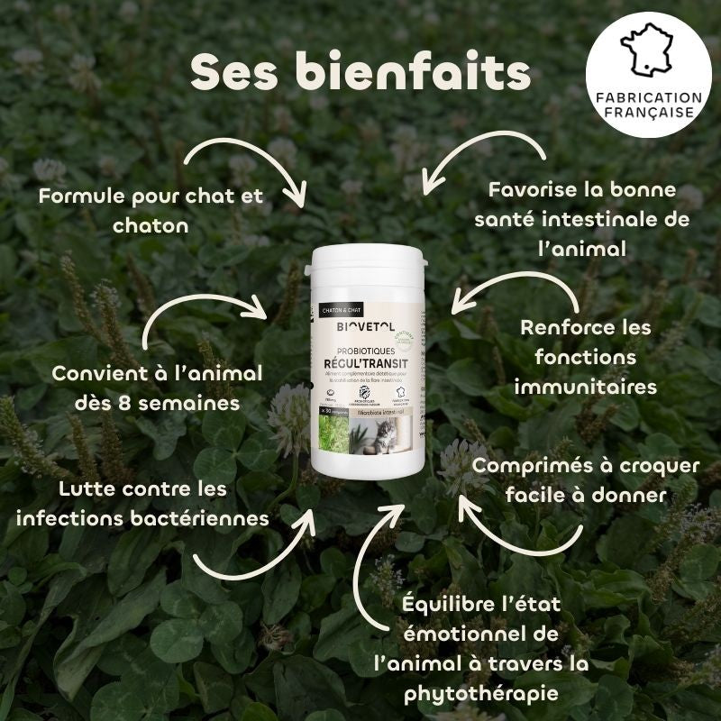 Comprimés REGUL’TRANSIT Chat