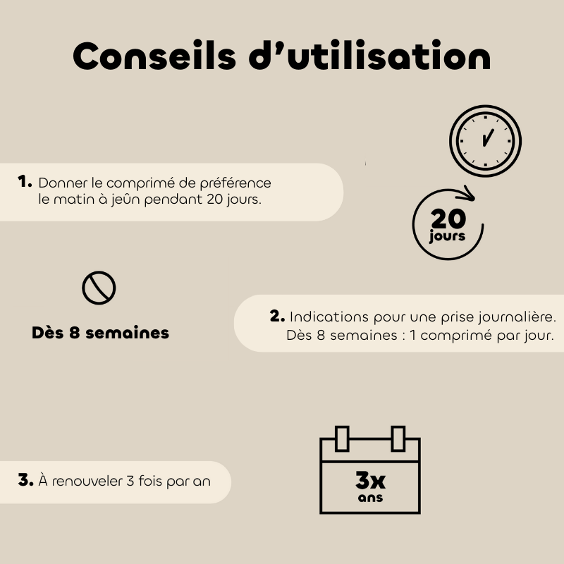 Comprimés REGUL’TRANSIT Chien