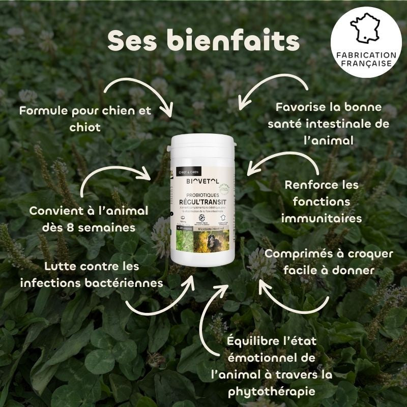 Comprimés REGUL’TRANSIT Chien