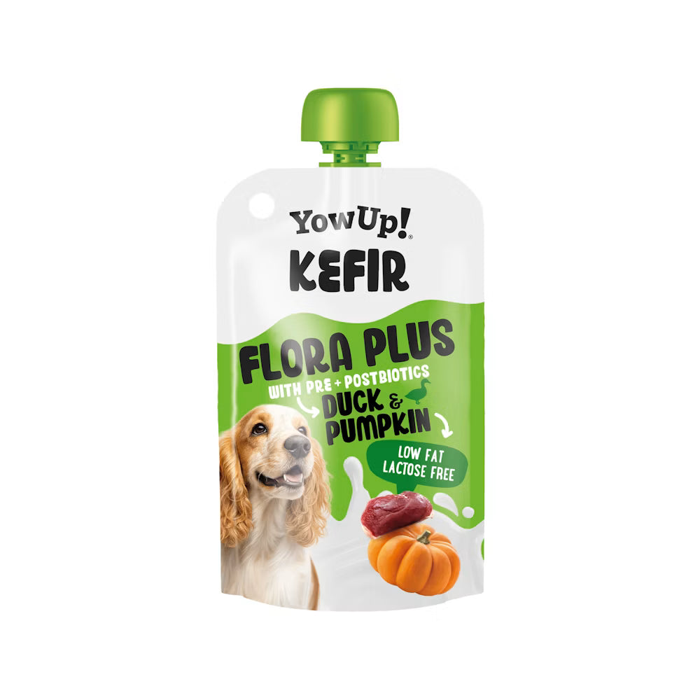 YowUp! Kéfir pour chien