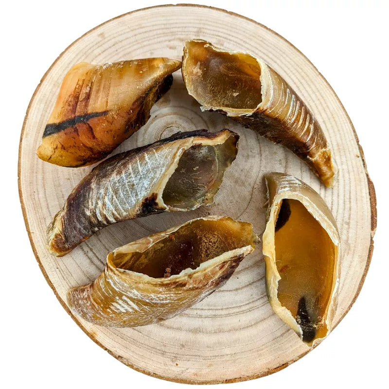 Sabots de Bœuf x5 CANIGOURMAND – Mastication Naturelle