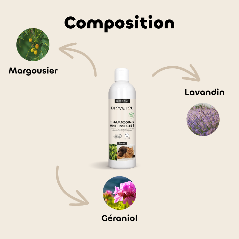Shampoing anti-insectes