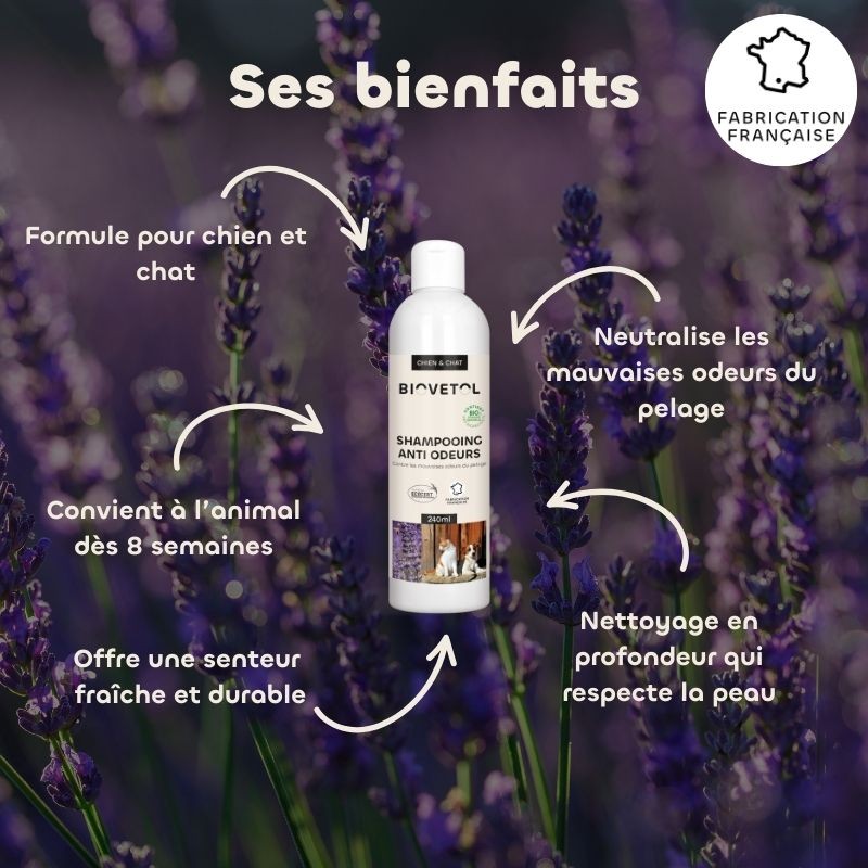 Shampoing anti-odeurs bio