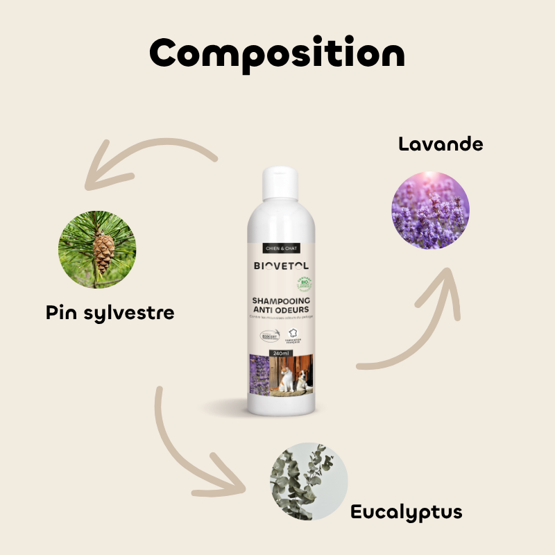 Shampoing anti-odeurs bio