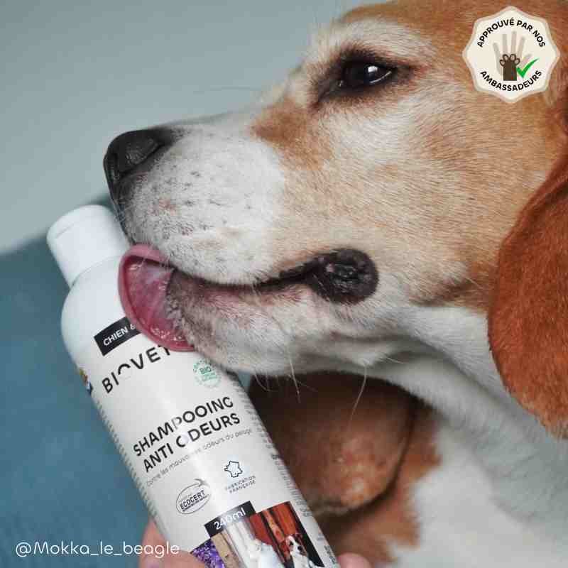 Shampoing anti-odeurs bio