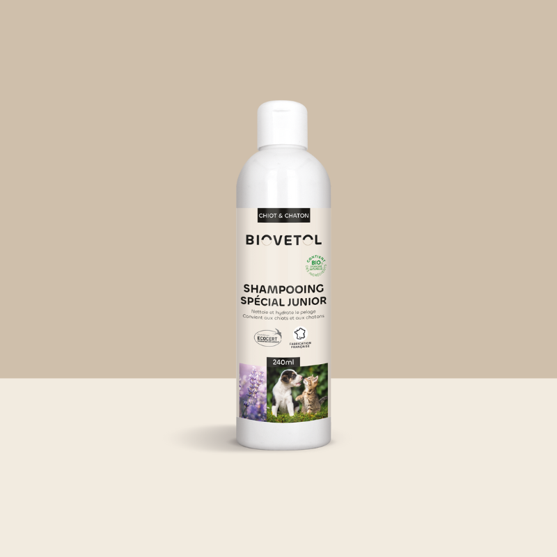 Shampoing spécial junior