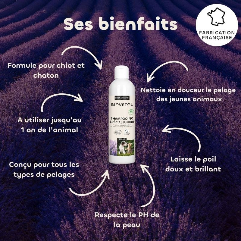 Shampoing spécial junior