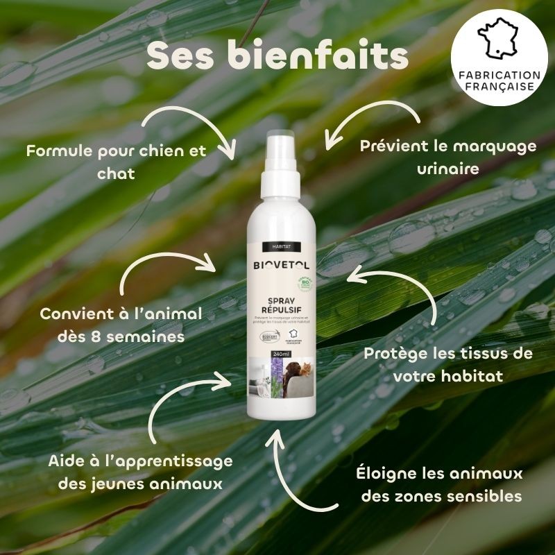 Spray répulsif habitat