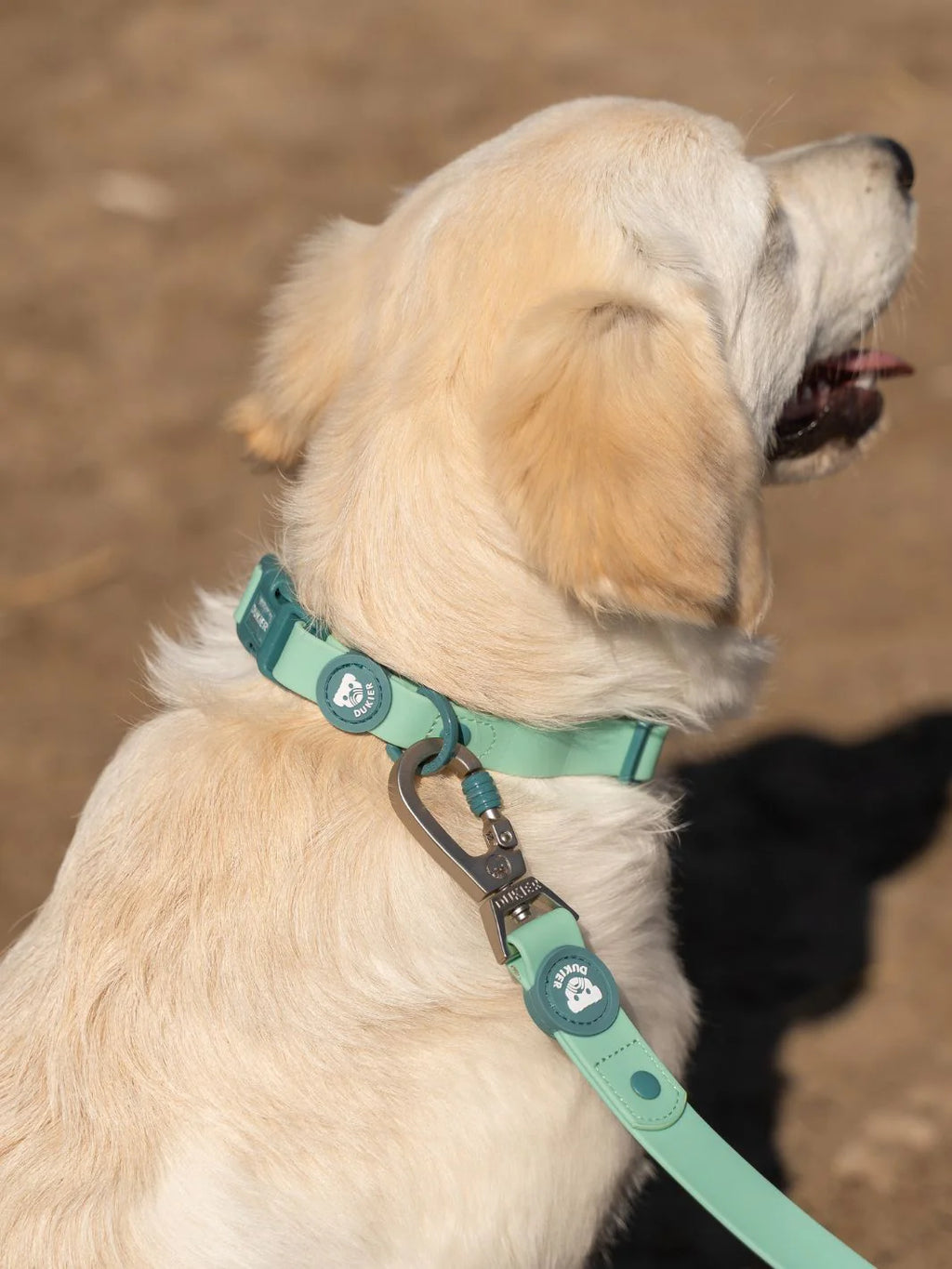 Dukier — Laisse Waterproof Jade Mint