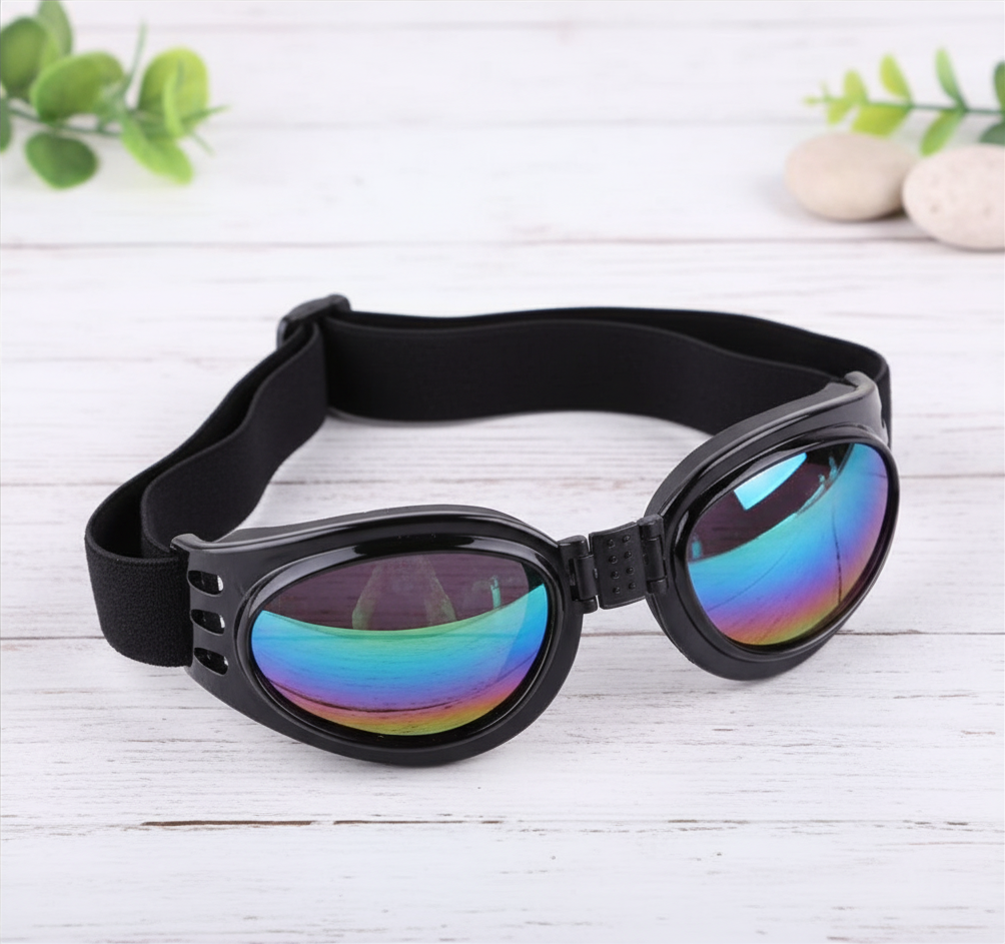 Lunettes de soleil pliables pour chien | Sangle réglable
